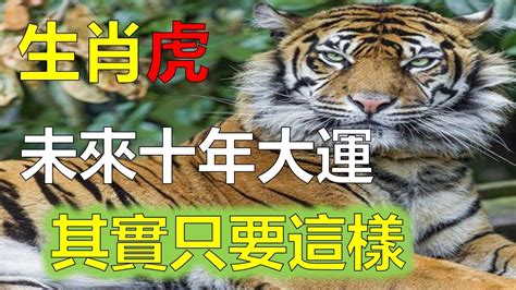 1974生肖2023運勢|1974年属虎人2023年全年运势及运程 74年49岁生肖虎2023年每月。